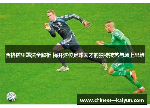 西格诺里踢法全解析 揭开这位足球天才的独特技艺与场上思维